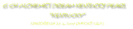   Americká akita naše fenky Kenty Alchemist  Dream Kentucky Pearl