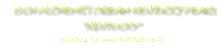   American akita  Kenty Alchemist Dream Kentucky Pearl