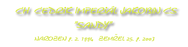  Americká akita Sandy Cedrik Imperial Jakobin